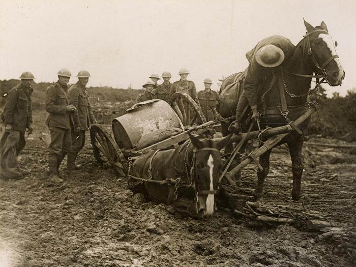 Water cart stuck in mud, St. Eloi, 1917 (Ref No. D/DLI 2/8/61(9))