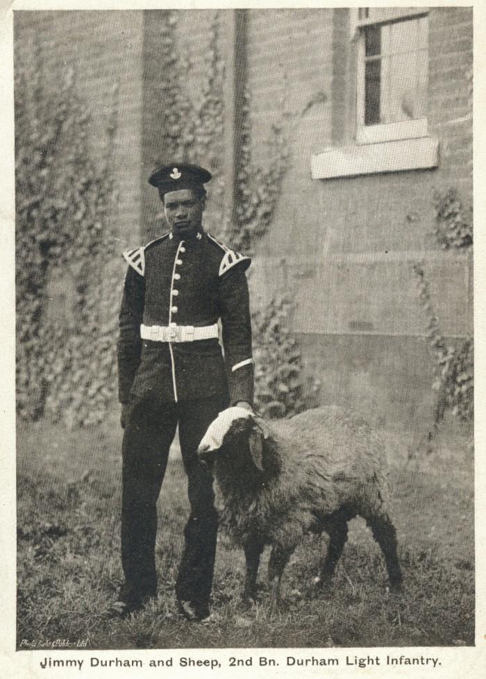 Photograph of James Durham with sheep [1900-1910] (D/DLI 7/194/8) - Copyright © Durham County Record Office.
