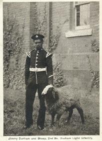 Photograph of James Durham with sheep [1900-1910] (D/DLI 7/194/8) - Copyright Â© Durham County Record Office.